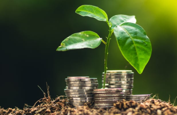 7 Ways to Go Greener This Earth Day